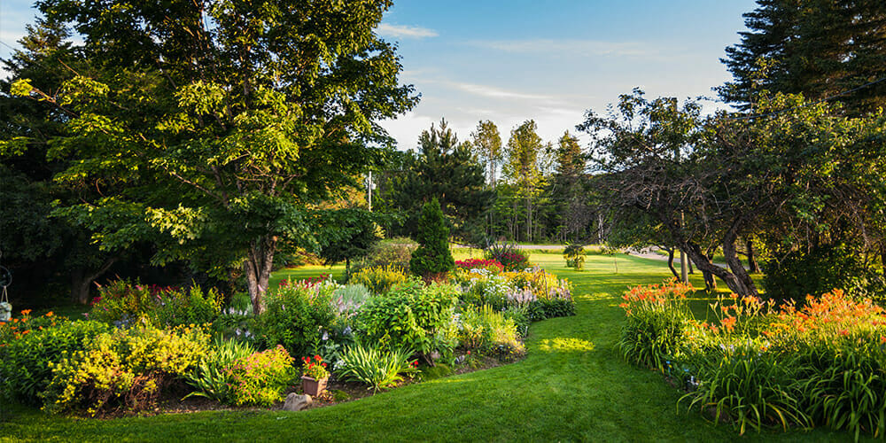 Rain Gardens NA Landscaping and Design