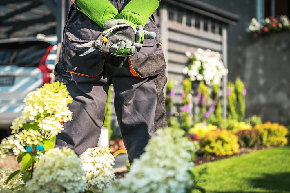 Backyard Garden Work. Caucasian Men with Trimmer in Hands Enjoying His Garden. Lower Section Closeup.